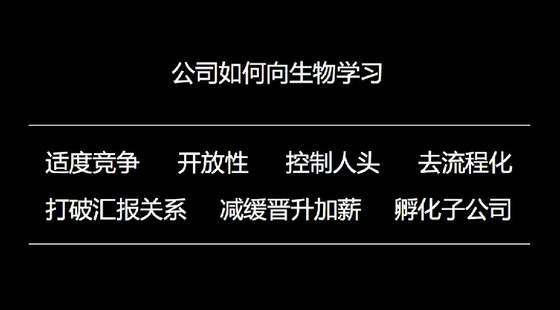 王小川談企業(yè)成長：從蝴蝶效應到六爻八卦